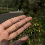 Silver 3 leaf studs