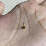 Flower studs